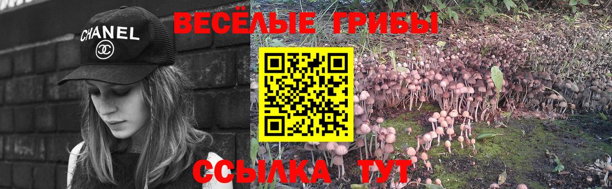 Псилоцибиновые грибы ЛСД Красноярск