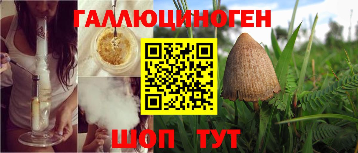 Красноярск  Галлюциногенные грибы Psilocybe  Вход с VPN 